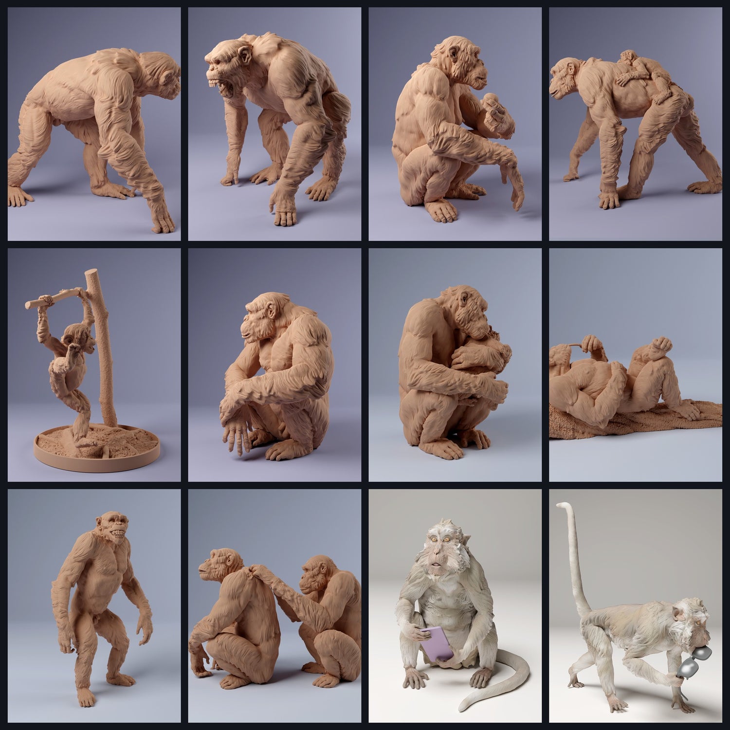 Esta imagen es la imagen de categoría para la especie animal: Primates y Semibrazo.