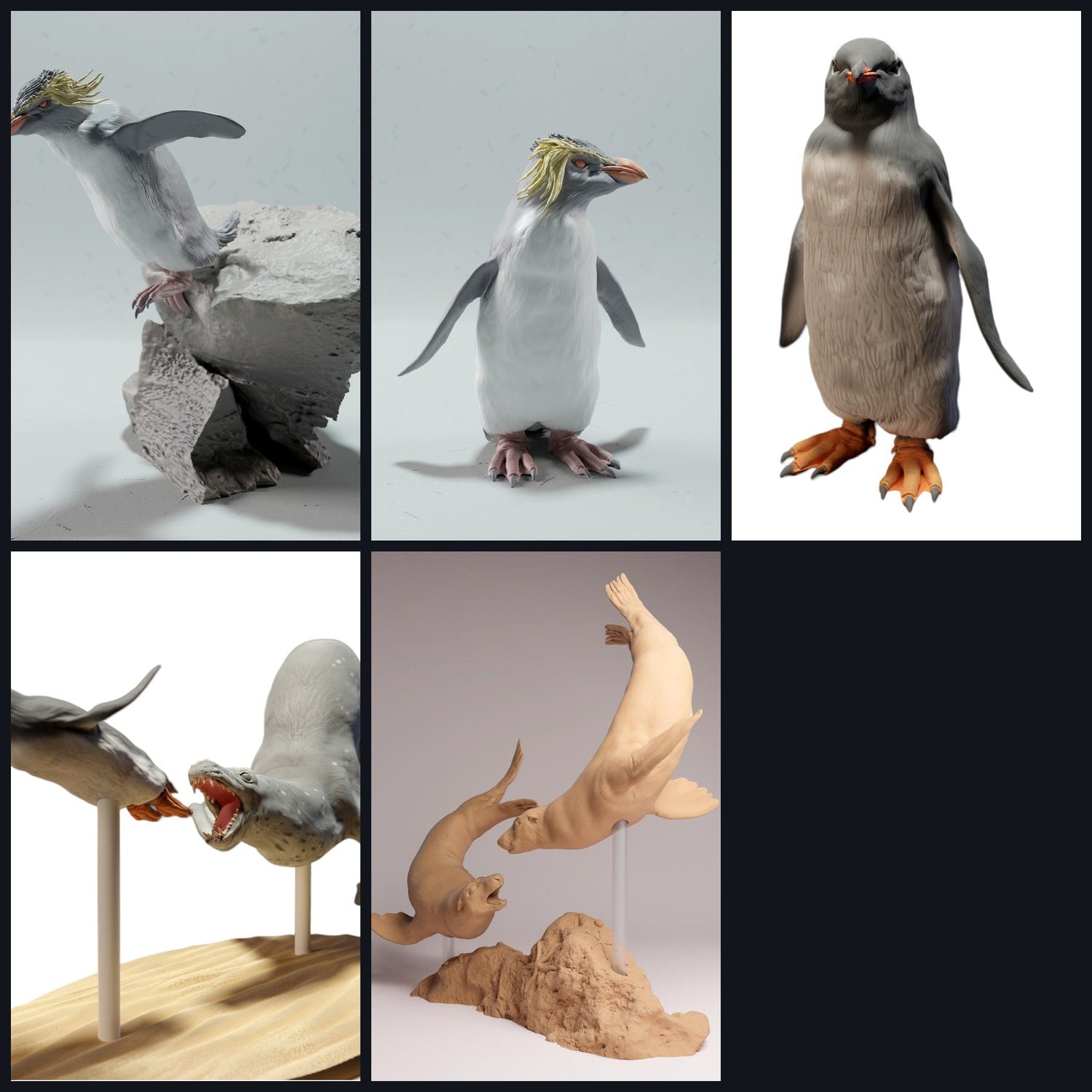 Esta imagen es la imagen de categoría para la región: Antártida/Subantártica