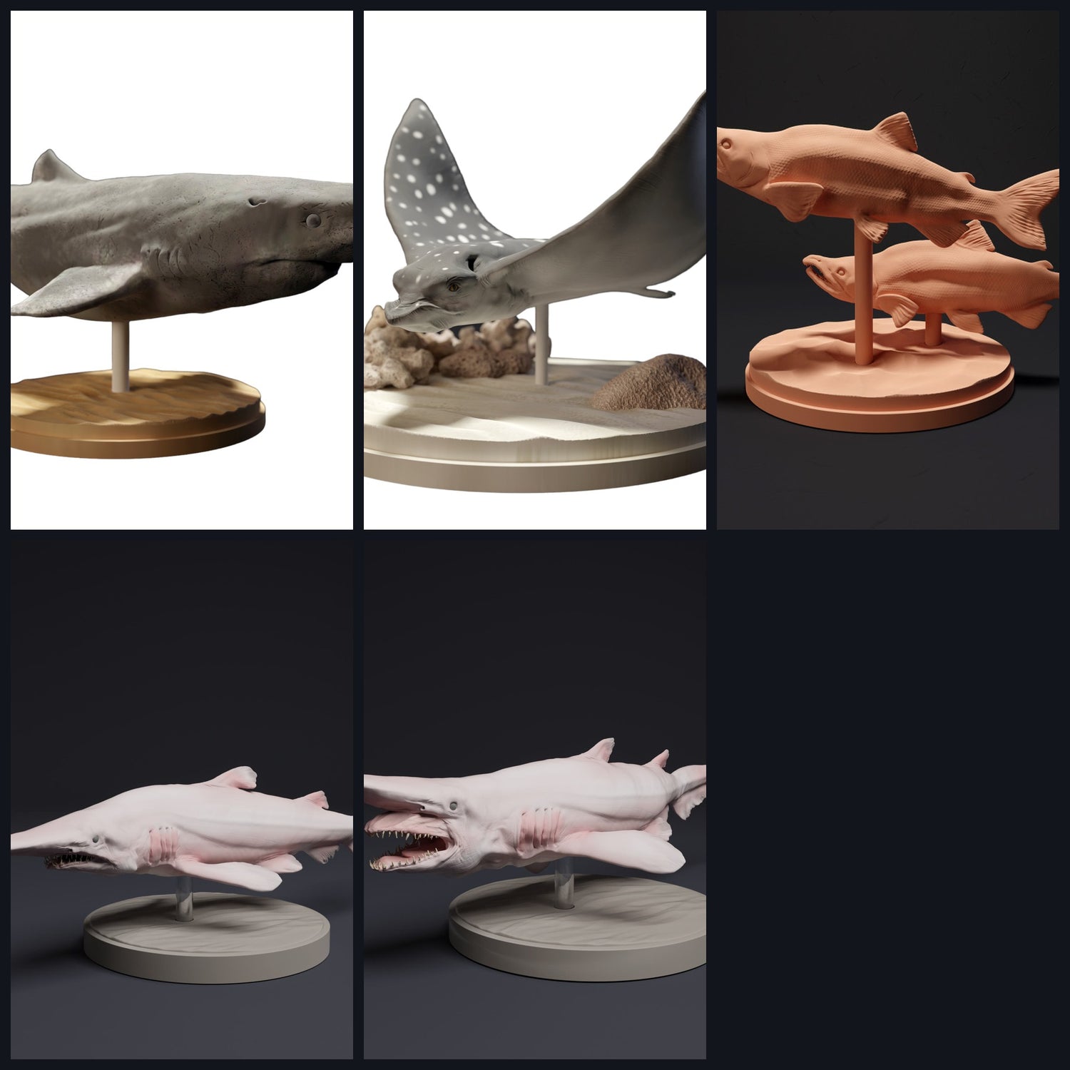 Esta imagen es la imagen de categoría para la especie: Peces y peces cartilaginosos