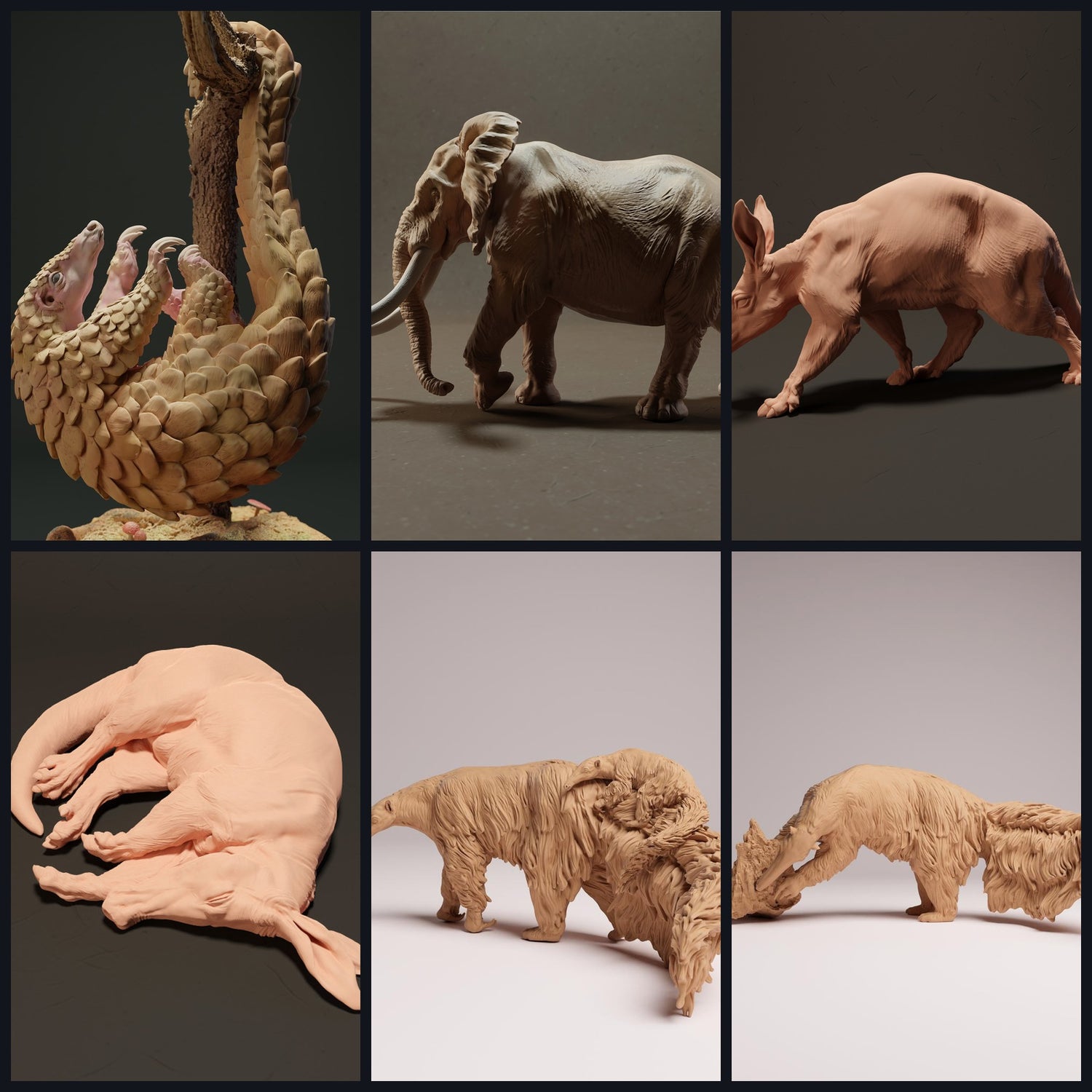 Esta imagen es la imagen de categoría para la especie: Mamíferos exóticos