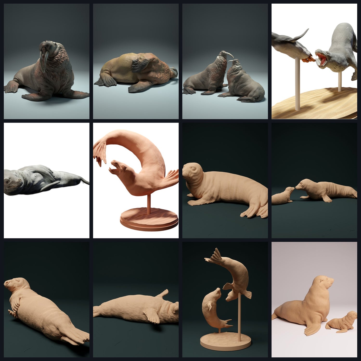 Esta imagen es la imagen de categoría para la especie: Pinnípedos