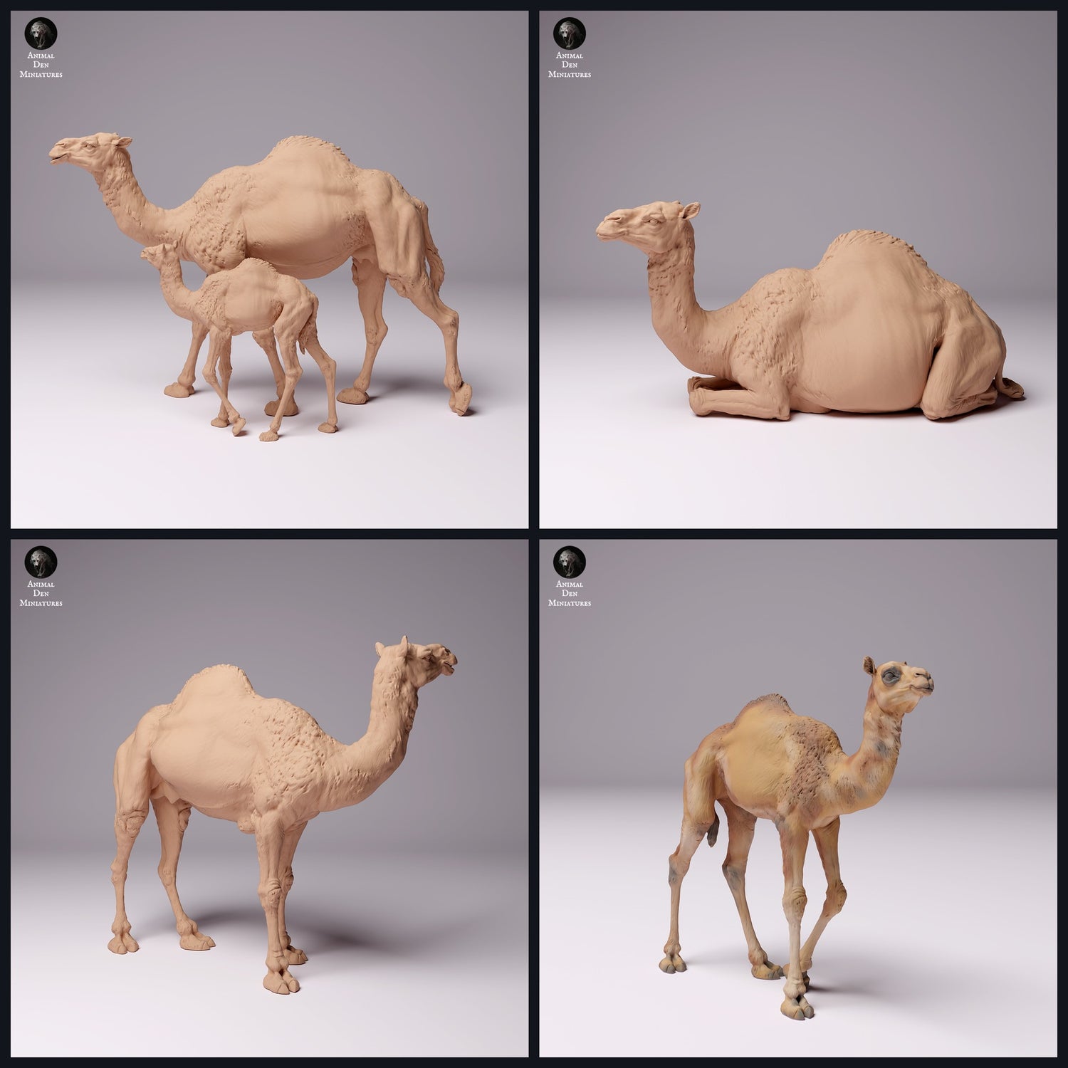 Esta imagen es la imagen de categoría para la región: Oriente Medio