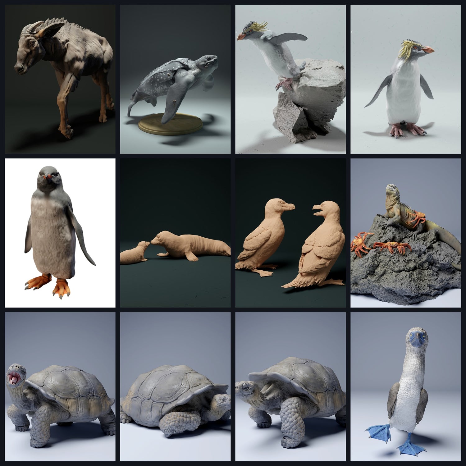 Esta imagen es la imagen de categoría para hábitat: isla/archipiélago