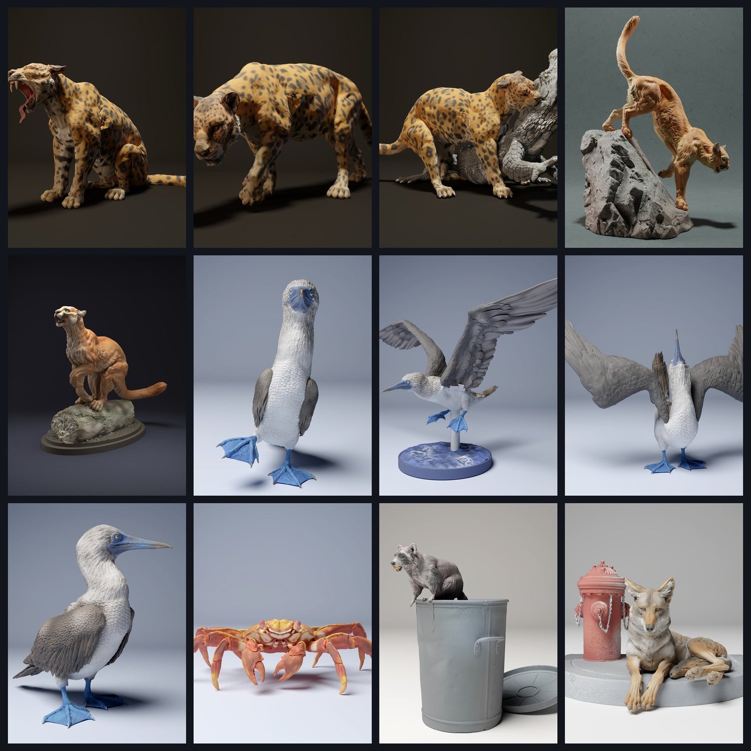 Esta imagen es la imagen de categoría para la región: América Central