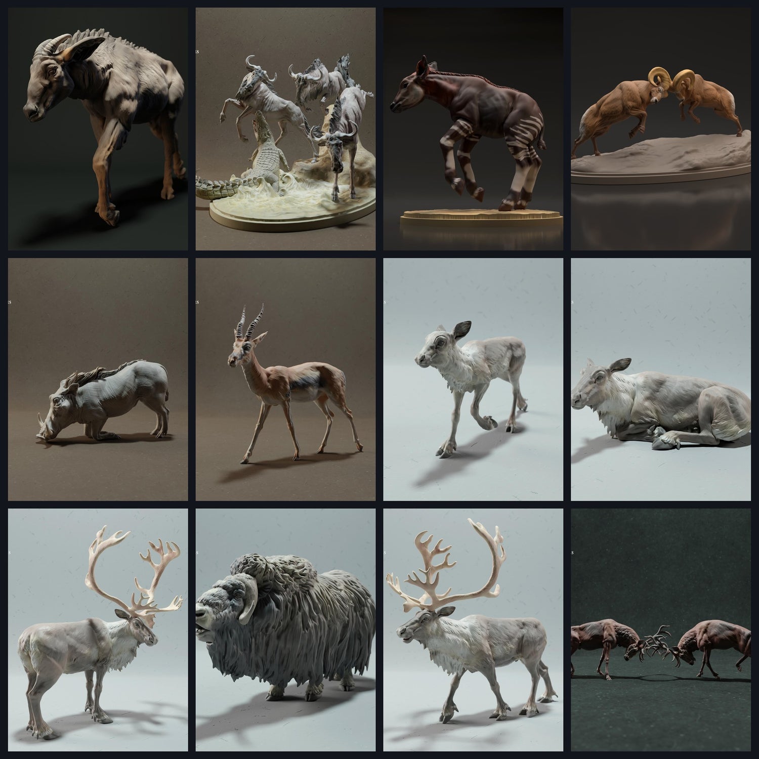 Esta imagen es la imagen de categoría para la especie animal: Ungulados