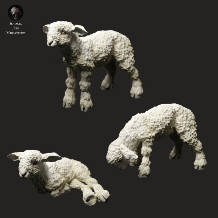 Foto del producto figura de animal diorama, modelismo: 0: figuras de animales de granja: 3 corderos - cordero de pie, cordero pastando y cordero acostado