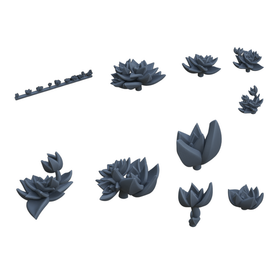 Foto del producto Diorama y decoración de modelismo, accesorios: 0: Plantas y vegetación: Suculentas