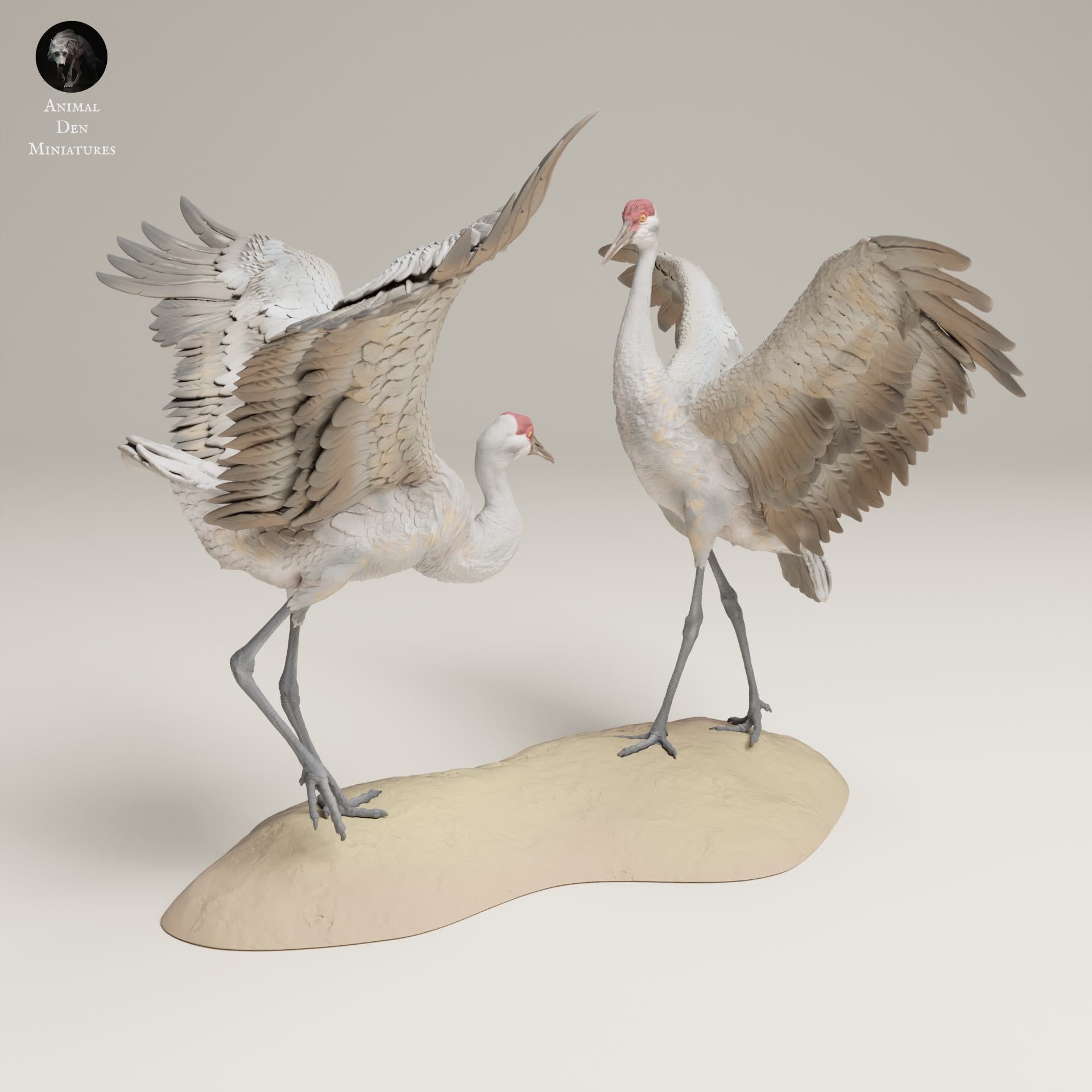Foto del producto figura de animal diorama, modelismo: 0: figura de fauna salvaje: grúas canadienses danzantes – grandes grúas de arena (Ref 25_06_10)