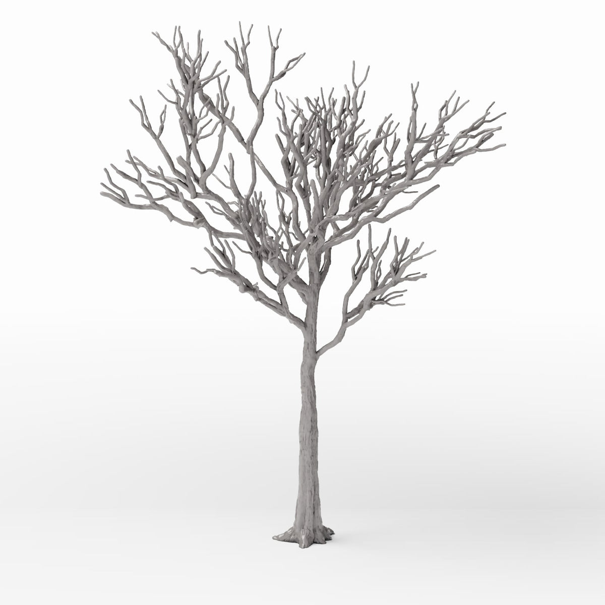 Foto de producto de diorama y modelismo 3: Plantas para diorama: árbol caducifolio detallado sin hojas (Ref. 1104D)