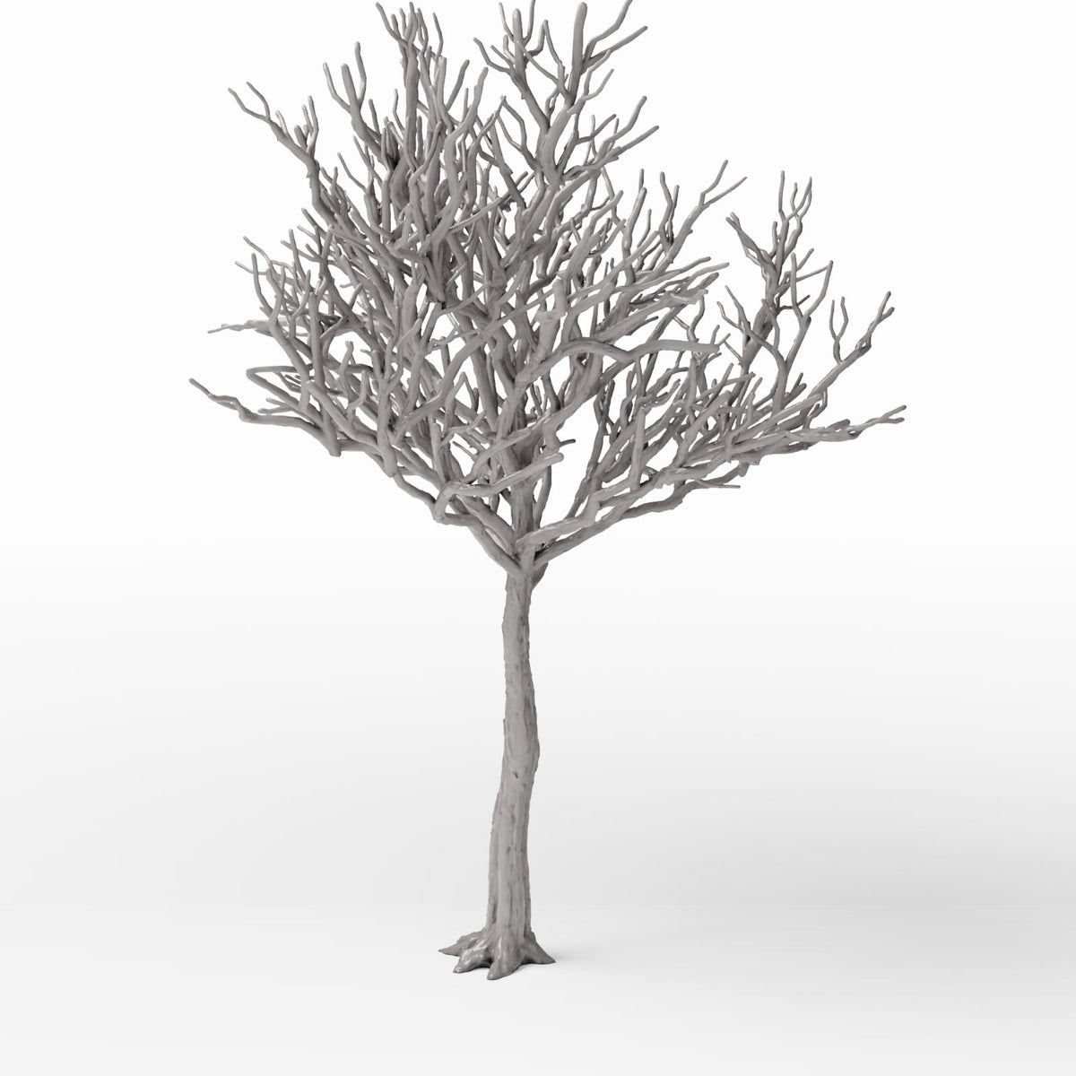 Foto de producto de diorama y modelismo 3: Plantas para dioramas: árbol detallado sin hojas (Ref. 1106D)