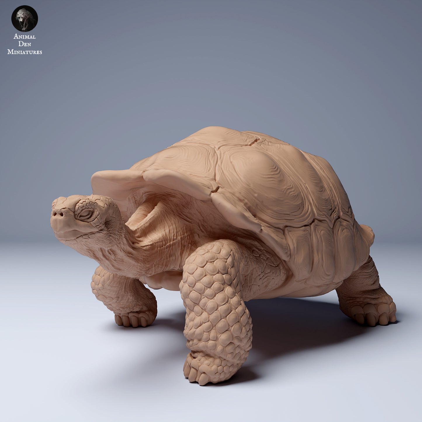 Produktfoto Tier Figur Diorama, Modellbau: 0: Wildtier Figur: Galápagos-Riesenschildkröte (Ref 24_08_05)