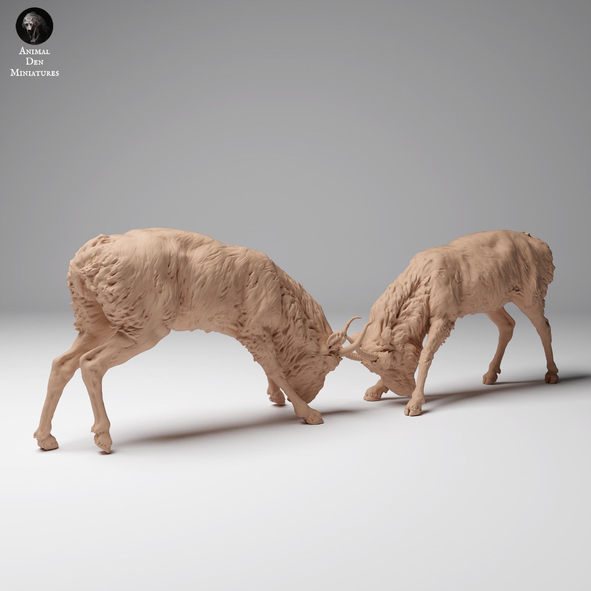 Foto del producto figura de animal diorama, modelismo: 0: Figura de fauna salvaje: machos de saiga mongólica en combate (Ref 24_12_08)