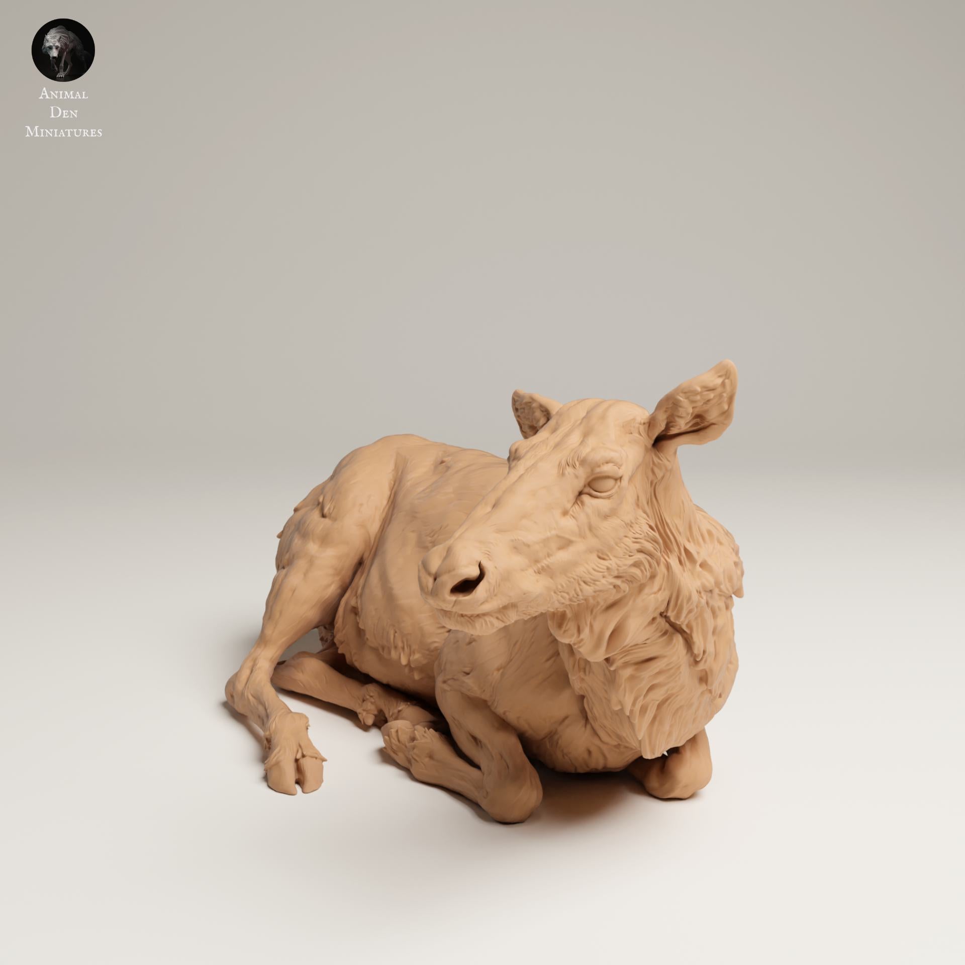 Foto del producto Figura de animal Diorama, Modelismo: 0: Figura de fauna salvaje: Alce hembra acostada – Rocky Mountain (Ref 25_06_14)