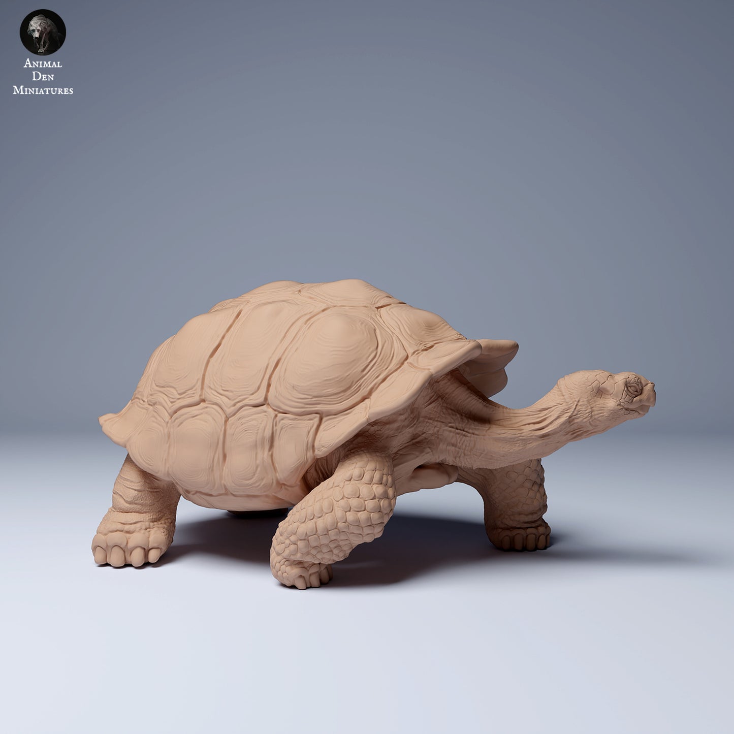 Produktfoto Tier Figur Diorama, Modellbau: 0: Wildtier Figur: Galápagos-Riesenschildkröte (Ref 24_08_05)