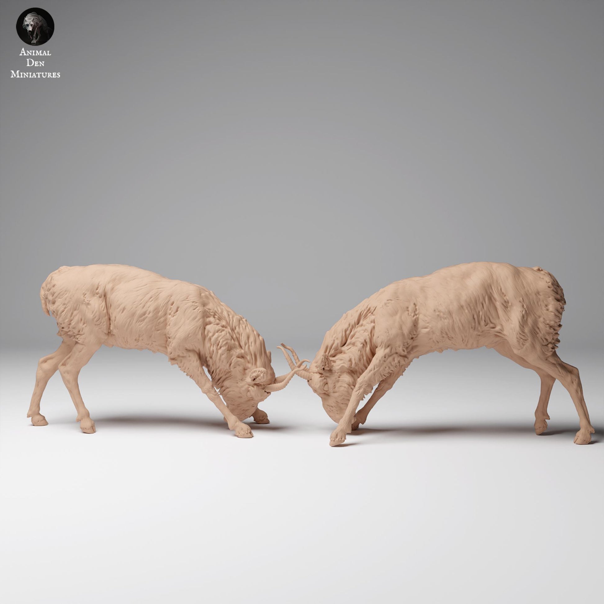 Foto del producto figura de animal diorama, modelismo: 0: Figura de fauna salvaje: machos de saiga mongólica en combate (Ref 24_12_08)