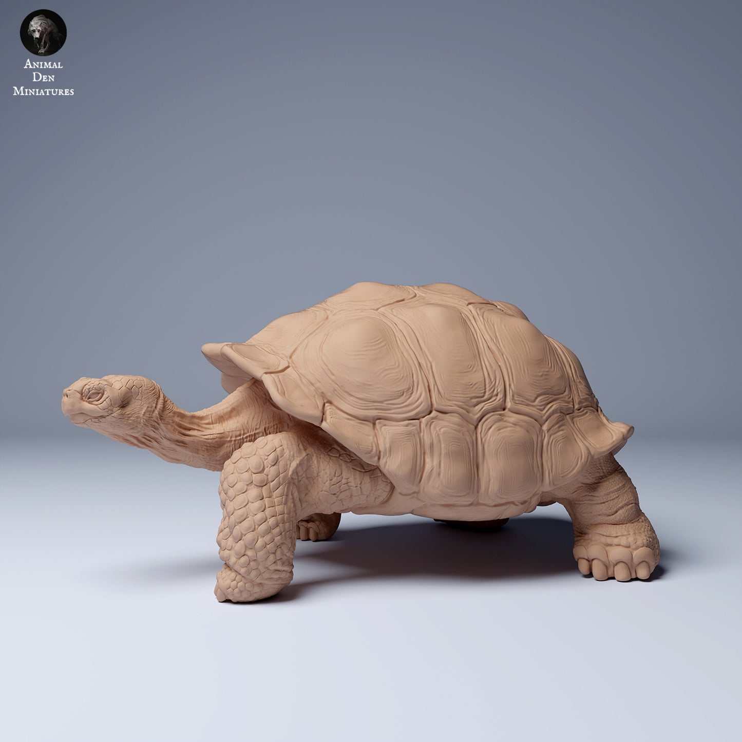 Produktfoto Tier Figur Diorama, Modellbau: 0: Wildtier Figur: Galápagos-Riesenschildkröte (Ref 24_08_05)