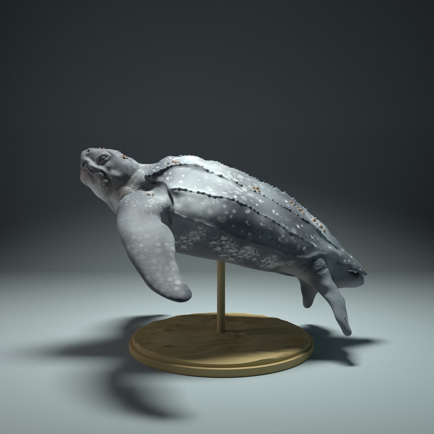Produktfoto Tier Figur Diorama, Modellbau: 0: Meerestier Figur: schwimmende Lederschildkröte (Ref 01_01_32)
