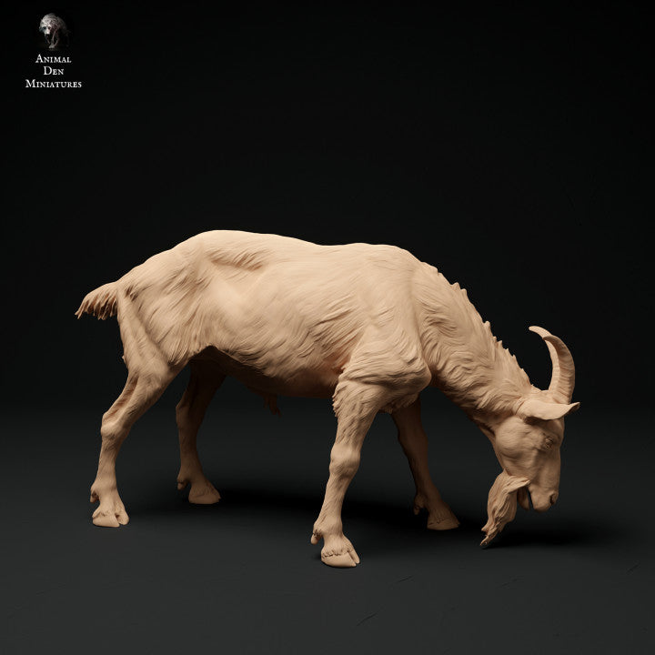 Foto del producto Figura de animal Diorama, Modelismo: 0: Cabra montés de los Alpes: pastando