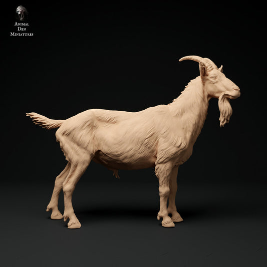 Foto del producto figura de animal diorama, modelismo: 0: macho de cabra de los Alpes