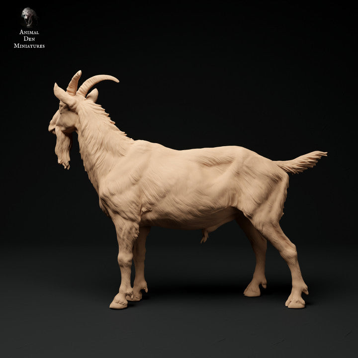 Foto del producto figura de animal diorama, modelismo: 0: macho de cabra de los Alpes