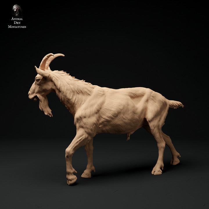 Foto del producto figura de animal diorama, modelismo: 0: macho de cabra alpina: caminando