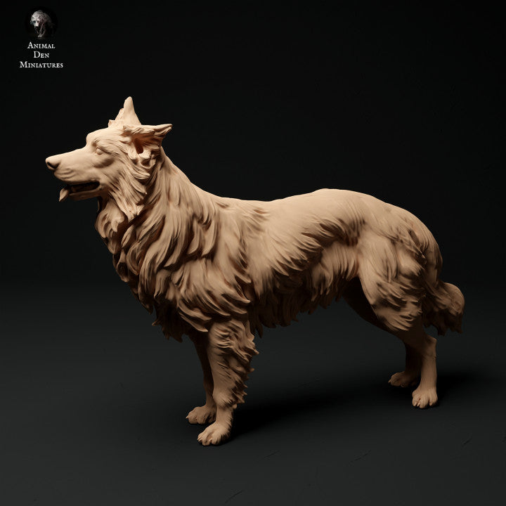 Foto del producto Figura de animal Diorama, Modelismo: 0: Figura de mascota: perro de pie - Border Collie
