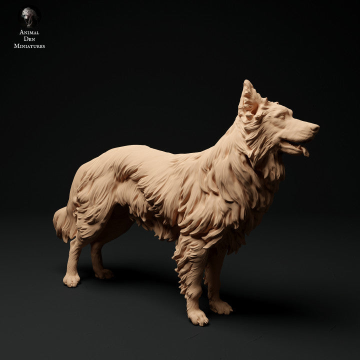 Foto del producto Figura de animal Diorama, Modelismo: 0: Figura de mascota: perro de pie - Border Collie