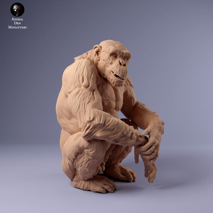 Produktfoto Tier Figur Diorama, Modellbau: 0: Schimpanse sitzend: Tiere aus Afrika