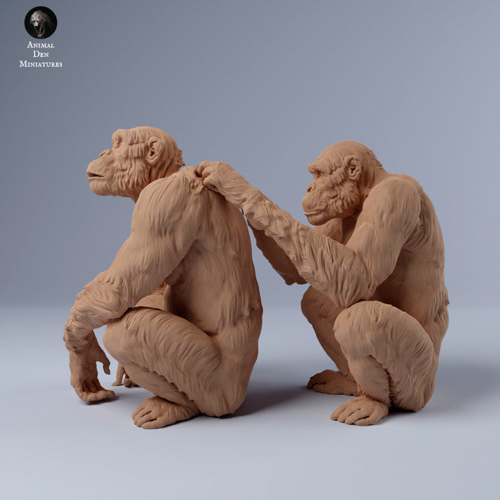 Produktfoto Tier Figur Diorama, Modellbau: 0: Schimpansen lausen sich: Tiere aus Afrika