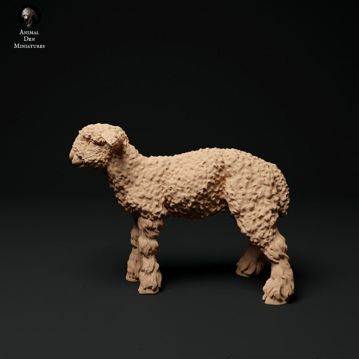 Foto del producto figura de animal diorama, modelismo: 0: figuras de animales de granja: 3 corderos - cordero de pie, cordero pastando y cordero acostado