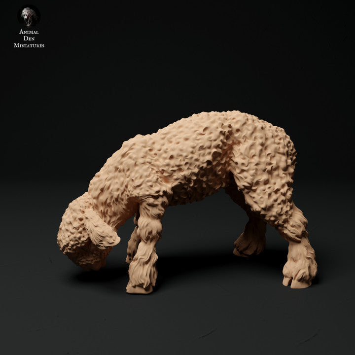 Foto del producto figura de animal diorama, modelismo: 0: figuras de animales de granja: 3 corderos - cordero de pie, cordero pastando y cordero acostado