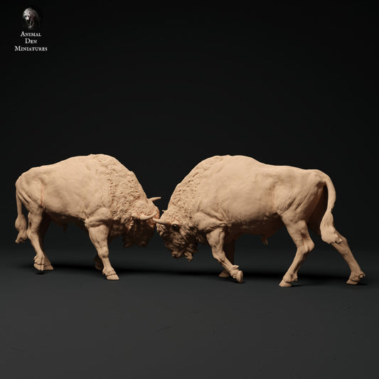 Foto del producto figura de animal diorama, modelismo: 0: Lucha de toros bisonte: Animales de Europa