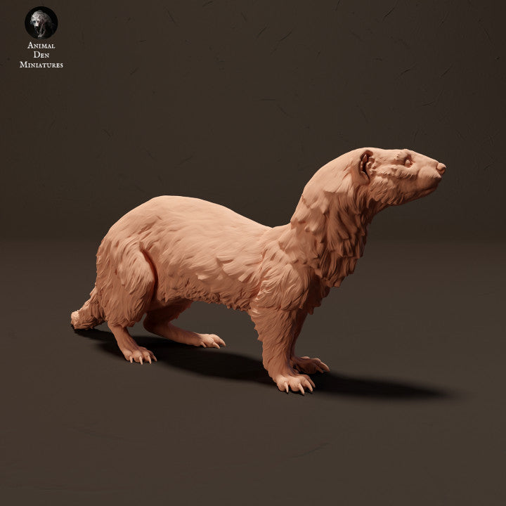 Produktfoto Tier Figur Diorama, Modellbau: 0: Europäisches Frettchen/ Iltis: Tiere aus Europa
