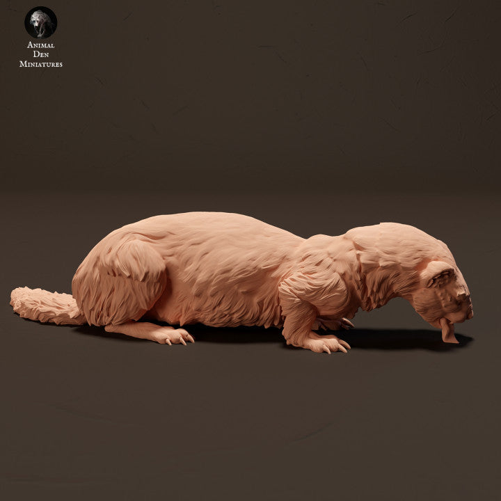 Foto del producto figura de animal diorama, modelismo: 0: Hurón europeo comiendo: Animales de Europa