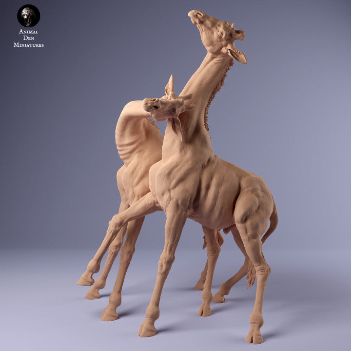 Produktfoto Tier Figur Diorama, Modellbau: 0: Zwei Giraffen Männchen kämpfen: Tiere aus Afrika