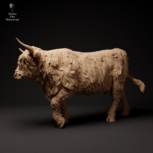 Foto del producto figura de animal diorama, modelismo: 0: Highland Cattle escocés caminando: Animales del norte de Europa