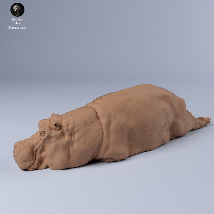 Produktfoto Tier Figur Diorama, Modellbau: 0: Hippo/ Flusspferd schlafend: Tiere aus Afrika