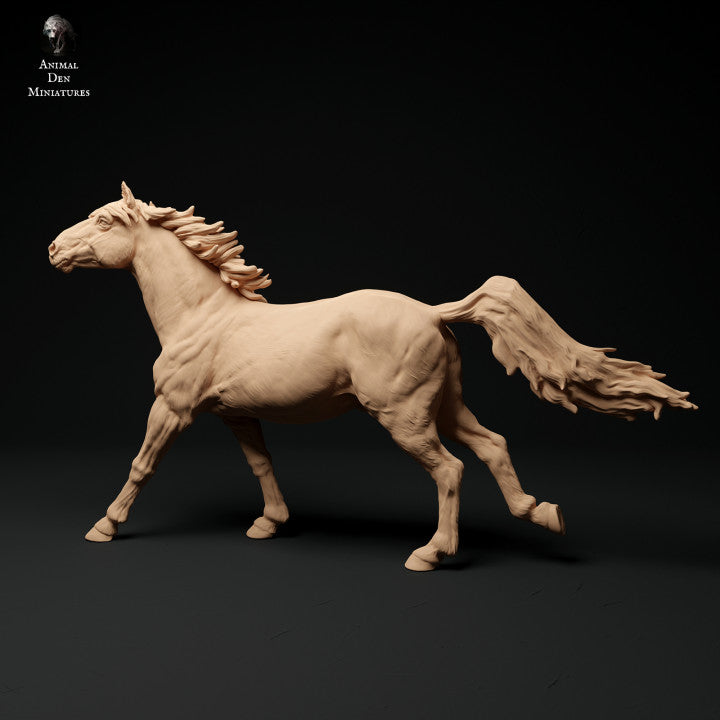 Produktfoto Tier Figur Diorama, Modellbau: 0: Konik/ Kleines Wildpferd laufend: Tiere aus Europa