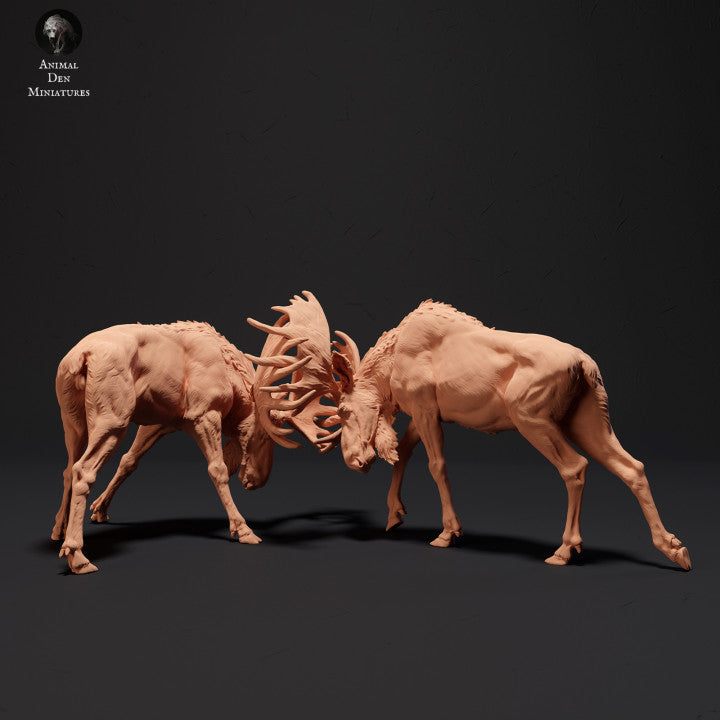 Foto del producto Figura de animal Diorama, Modelismo: 0: Poderosos alces luchando: Animales del norte