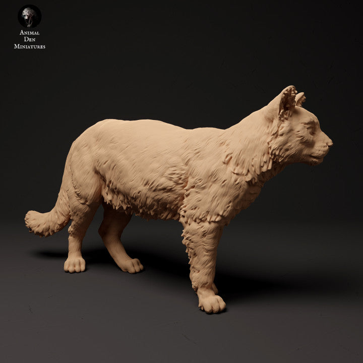 Produktfoto Tier Figur Diorama, Modellbau: 0: Schottische Wildkatze: Tiere aus Nordeuropa