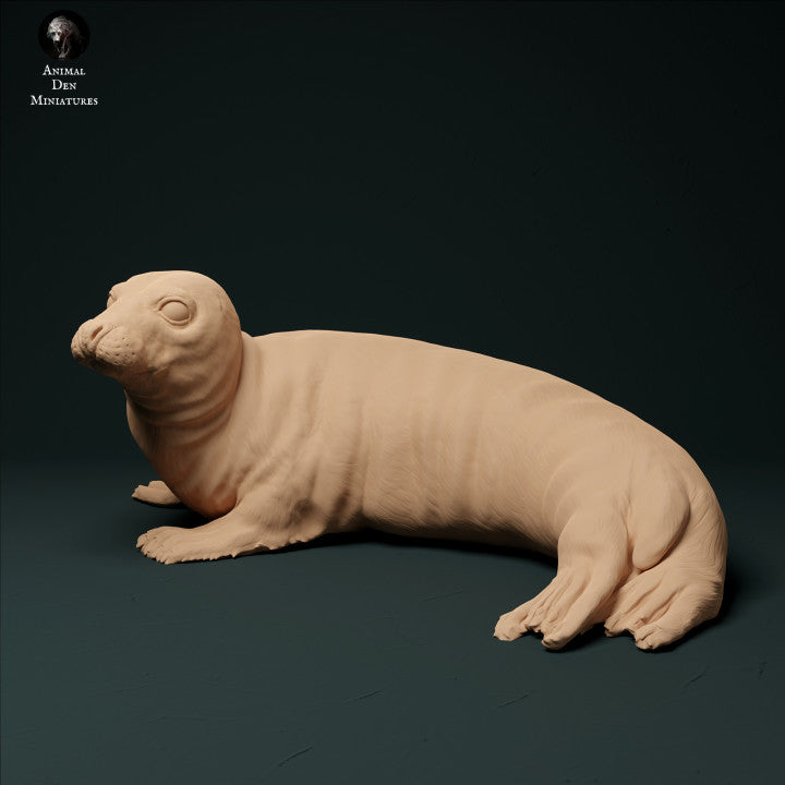 Foto del producto figura de animal diorama, modelismo: 0: foca de puerto: animales del mar