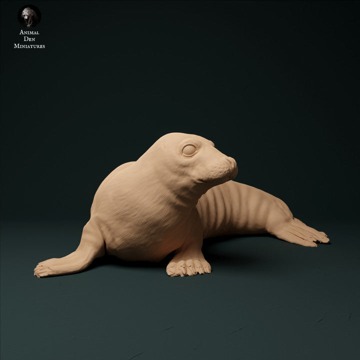 Foto del producto figura de animal diorama, modelismo: 0: foca de puerto: animales del mar