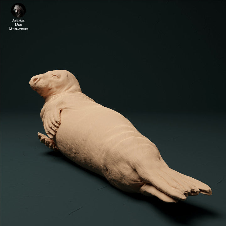 Foto del producto figura de animal diorama, modelismo: 0: foca macho: animales del mar