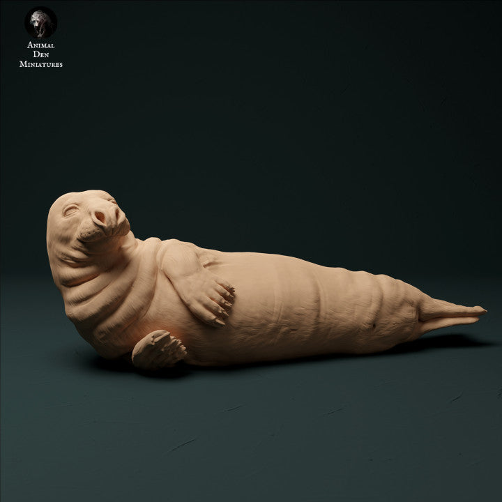 Foto del producto figura de animal diorama, modelismo: 0: foca macho: animales del mar