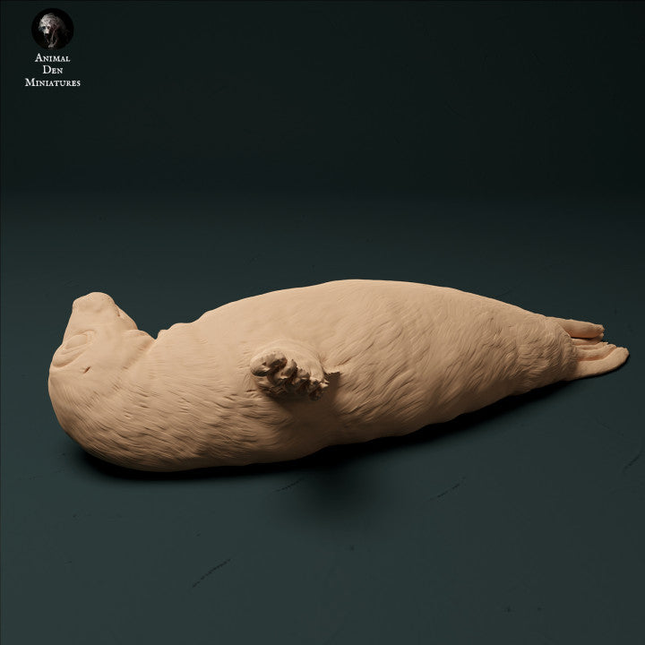 Foto del producto figura de animal diorama, modelismo: 0: cría de foca: animales del mar