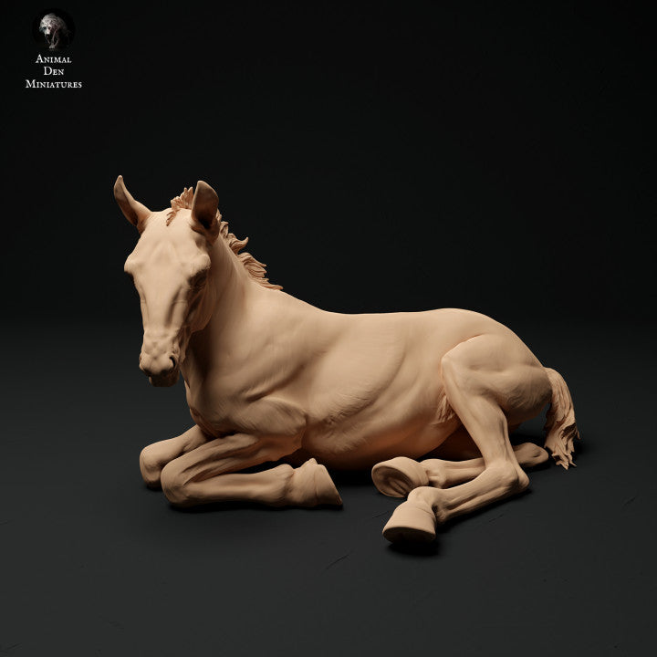 Produktfoto Tier Figur Diorama, Modellbau: 0: Farm Tier Figur: 2 Fohlen - laufendes und liegendes Pferd
