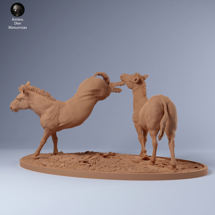 Produktfoto Tier Figur Diorama, Modellbau: 0: Zebra Männchen Revierkampf: Tiere aus Afrika