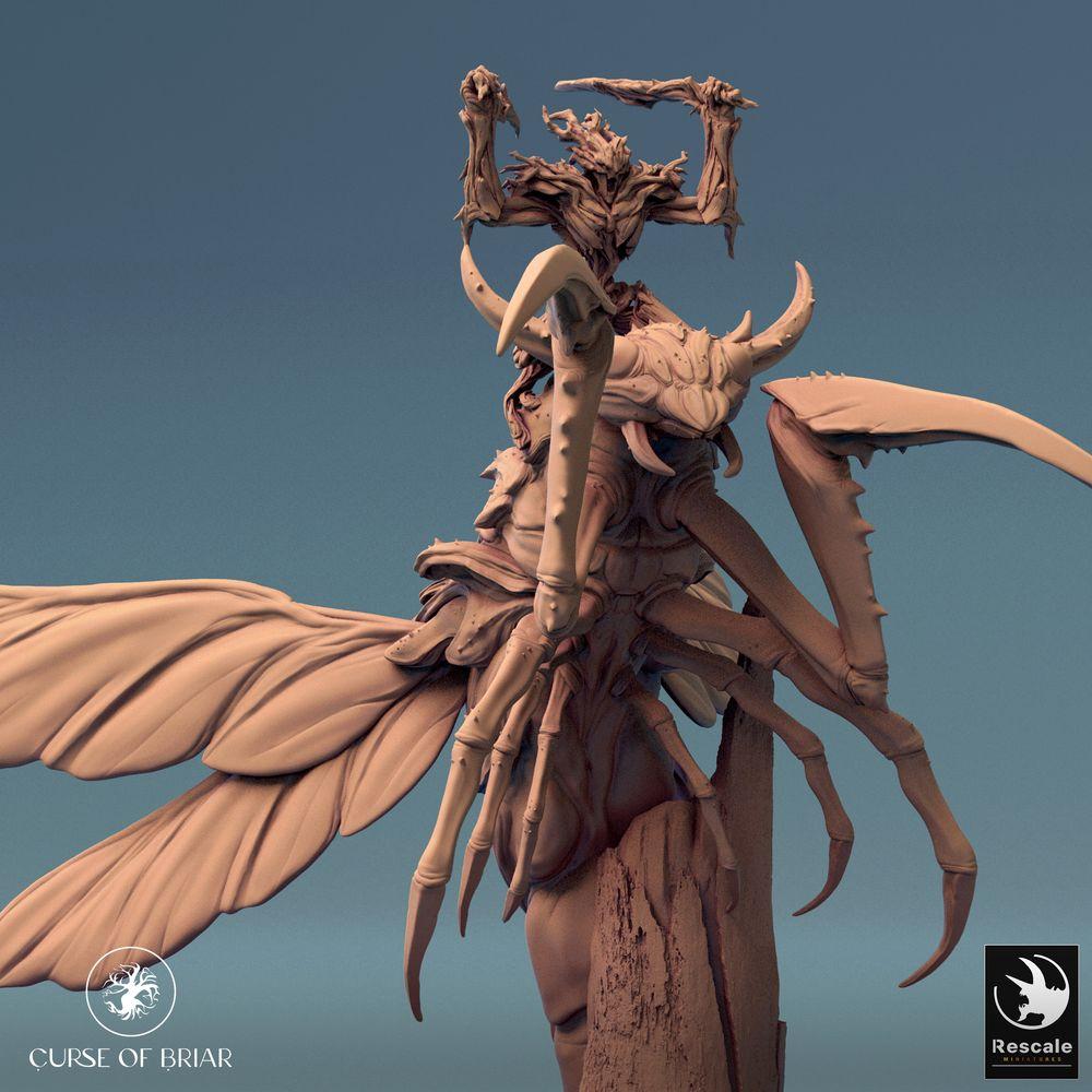 Foto del producto Tabletop 28mm Lord of the Print (LotP) 0: Miniatura de Tabletop: Jinete demoníaco insectoide sobre bestia alada, Señor de los enjambres, Chamán del bosque, Guardián Skycutter (24_07_E4)