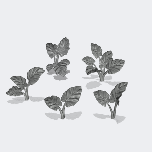 Foto del producto Miniatura Muebles, Decoración Diorama y Modelismo 0: Plantas y Vegetación: 5 Plantas Oreja de Elefante - Alocasia Odora