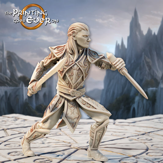 Foto del producto Tabletop 28mm The Printing Goes Ever On (TPGEO) 0: Duelistas Elfos - 2 Guerreros del Pueblo Élfico - Espadachines